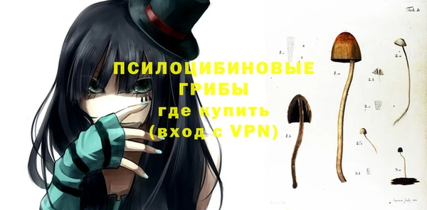 прущие грибы Алексин