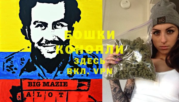 spice Алзамай