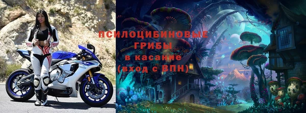 МДПВ Алексеевка