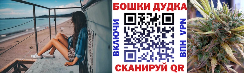как найти наркотики  Краснообск  Бошки марихуана Ganja 